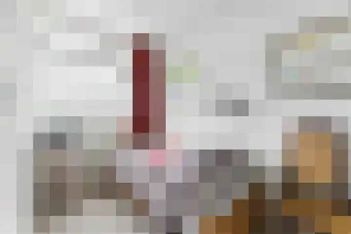 Anatole Franceplaats 462 Rotterdam thumbnail 28