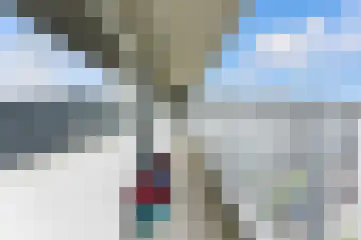 Anatole Franceplaats 462 Rotterdam thumbnail 35