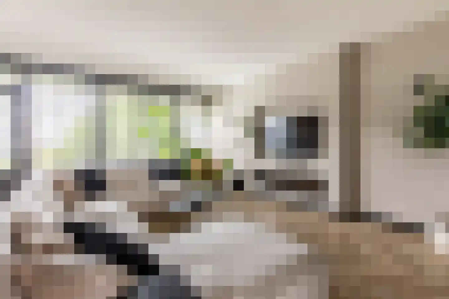 Anatole Franceplaats 482 Rotterdam thumbnail 12