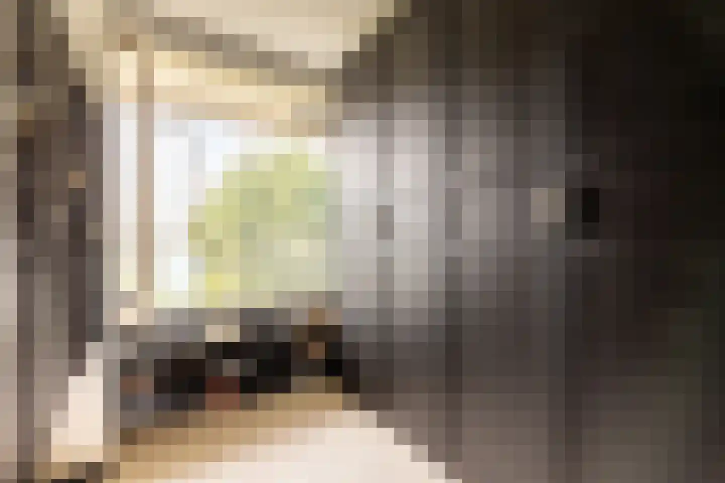 Anatole Franceplaats 482 Rotterdam thumbnail 24