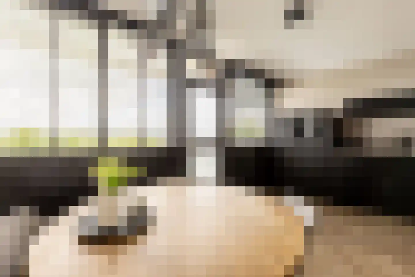 Anatole Franceplaats 482 Rotterdam thumbnail 8