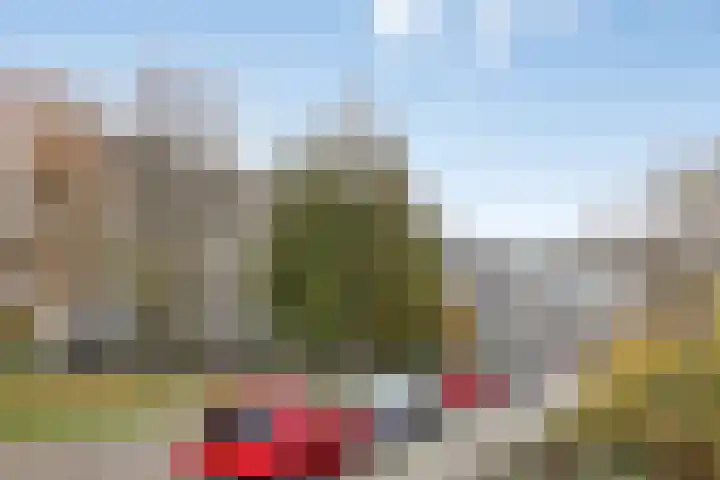 Anatole Franceplaats 500 Rotterdam thumbnail 33