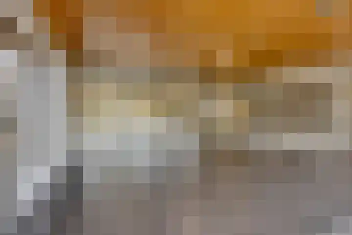 Anatole Franceplaats 500 Rotterdam thumbnail 7