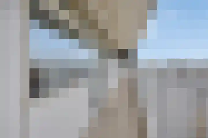 Anatole Franceplaats 500 Rotterdam thumbnail 8