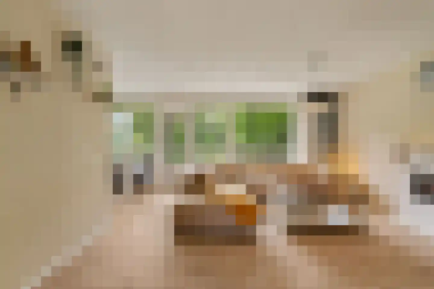 Anatole Franceplaats 596 Rotterdam thumbnail 8