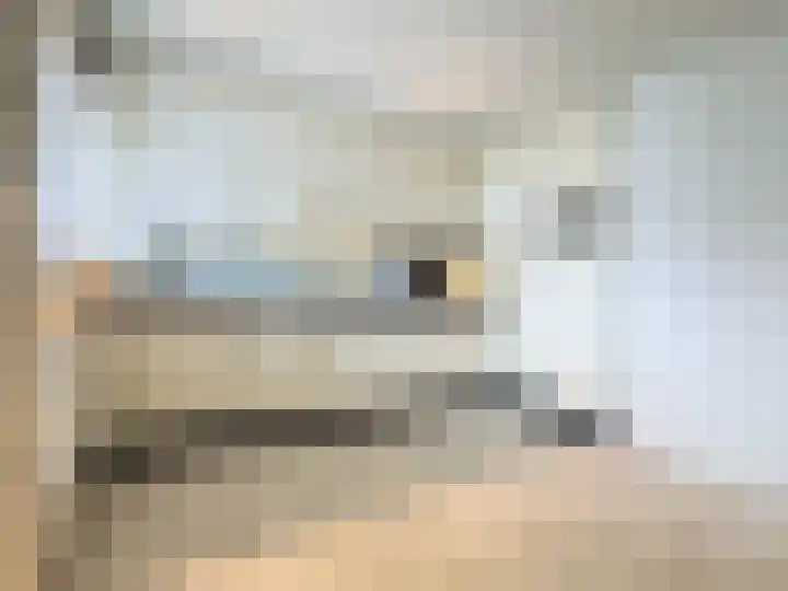 Anatole Franceplaats 624 Rotterdam thumbnail 12