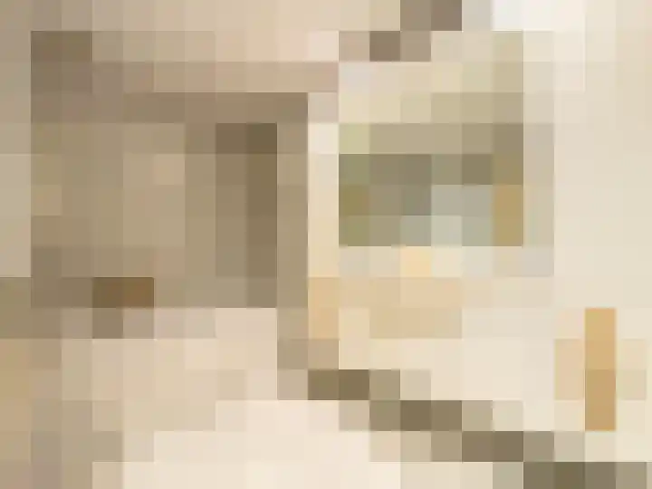Anatole Franceplaats 624 Rotterdam thumbnail 9