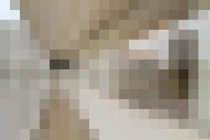 Anatole Franceplaats 626 Rotterdam thumbnail 11