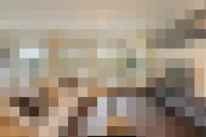 Anatole Franceplaats 626 Rotterdam thumbnail 14