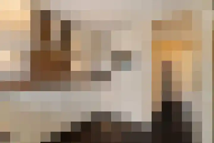 Anatole Franceplaats 626 Rotterdam thumbnail 20