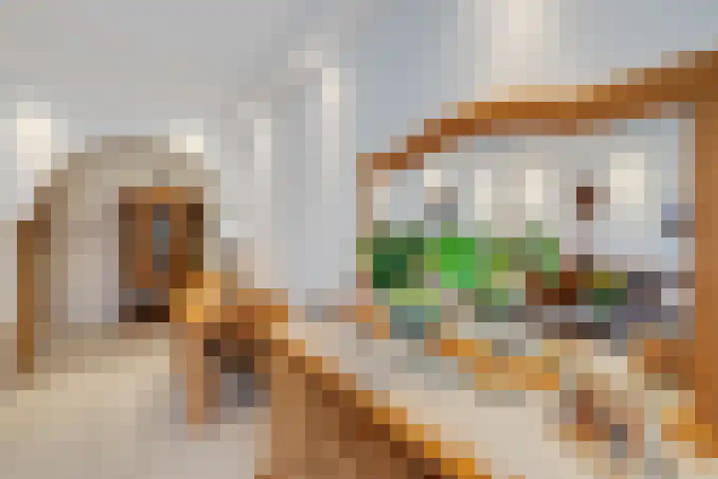 Anatole Franceplaats 640 Rotterdam thumbnail 16