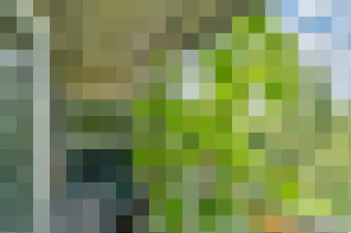 Anatole Franceplaats 694 Rotterdam thumbnail 12