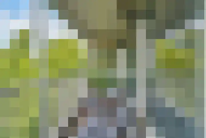 Anatole Franceplaats 694 Rotterdam thumbnail 13