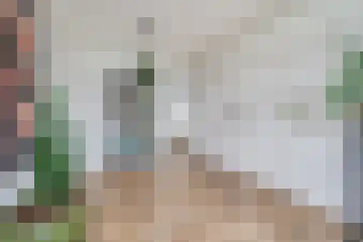 Anatole Franceplaats 694 Rotterdam thumbnail 9