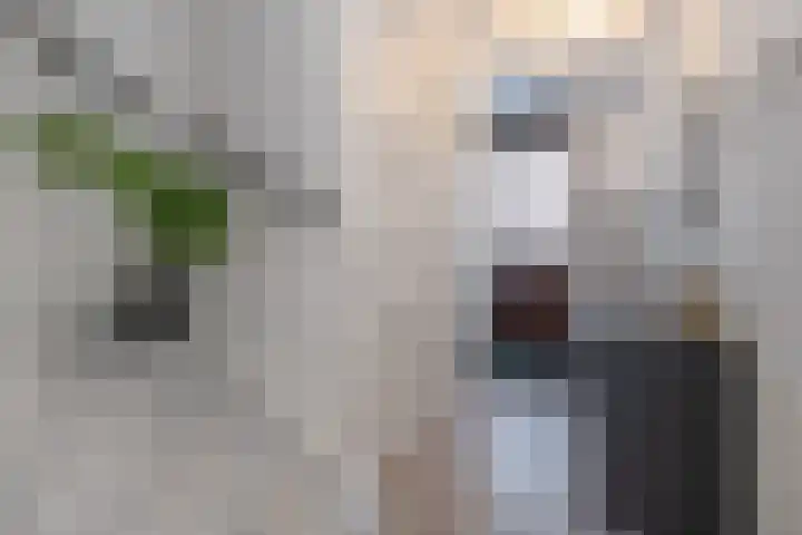 Anconalaan 8 Barneveld thumbnail 16