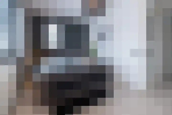 Anconalaan 8 Barneveld thumbnail 19