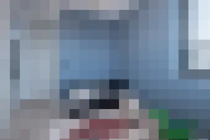 Anconalaan 8 Barneveld thumbnail 21