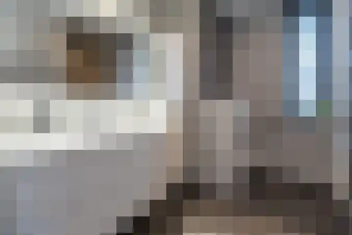 Anconalaan 8 Barneveld thumbnail 24