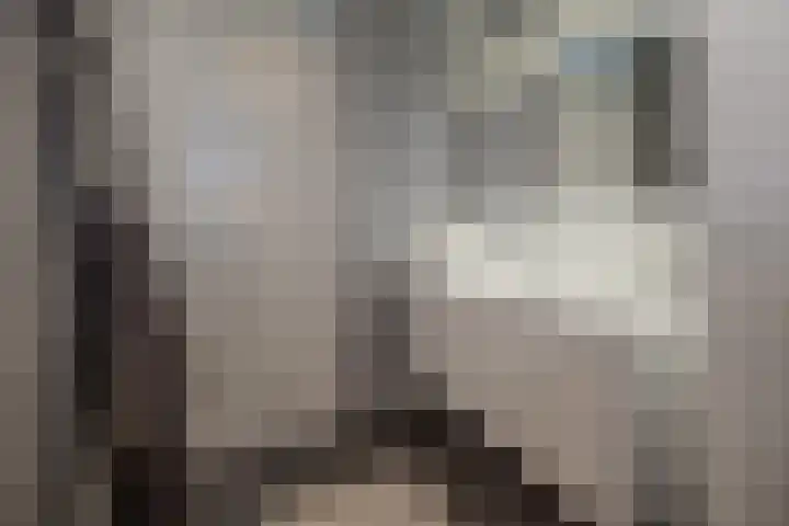 Anconalaan 8 Barneveld thumbnail 25