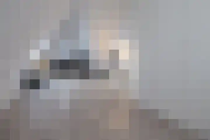 Anconalaan 8 Barneveld thumbnail 31