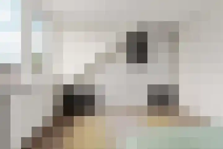 Andalusiëstraat 10 Lent thumbnail 32