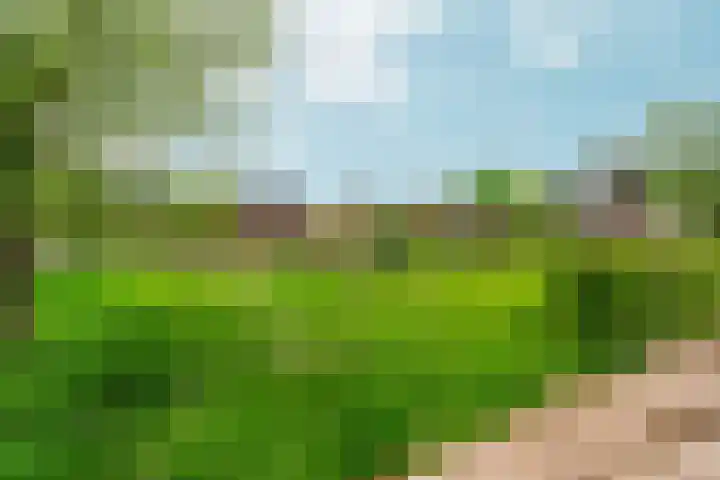 Andalusiëstraat 10 Lent thumbnail 38
