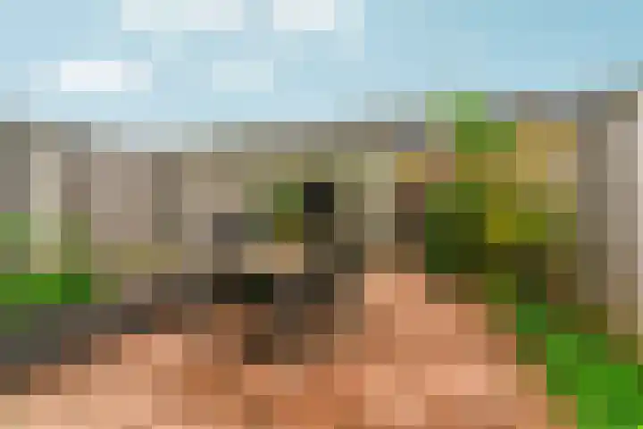 Andalusiëstraat 10 Lent thumbnail 5