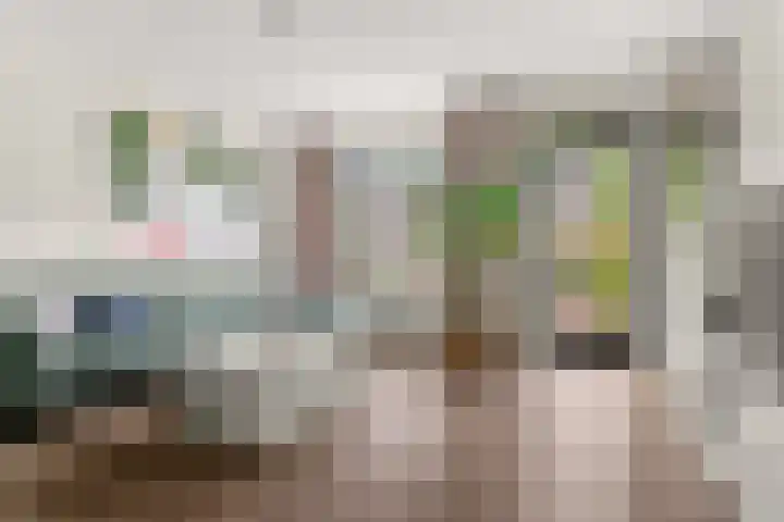 Andalusiëstraat 10 Lent thumbnail 9