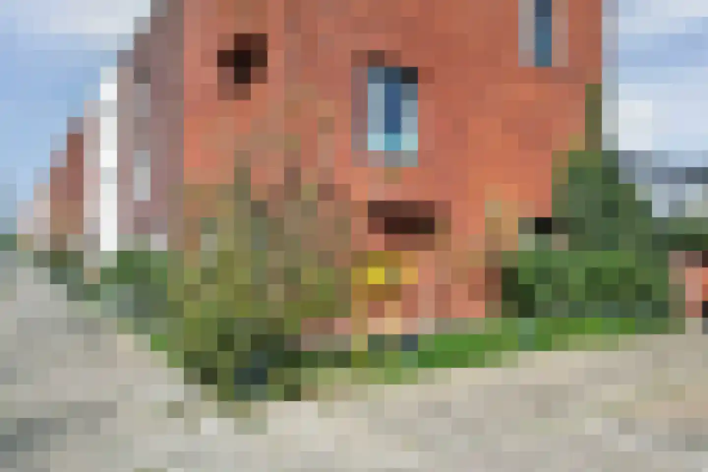 Andalusiëstraat 146 Lent thumbnail 7