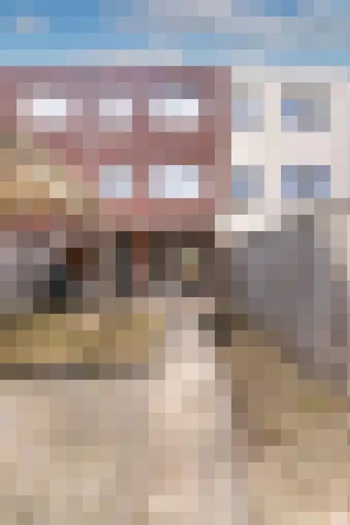 Andalusiëstraat 178 Lent thumbnail 29