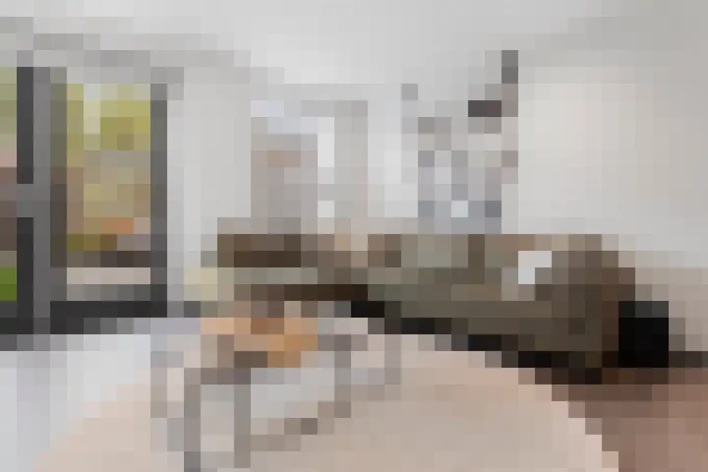 Andalusiëstraat 20 Lent thumbnail 10