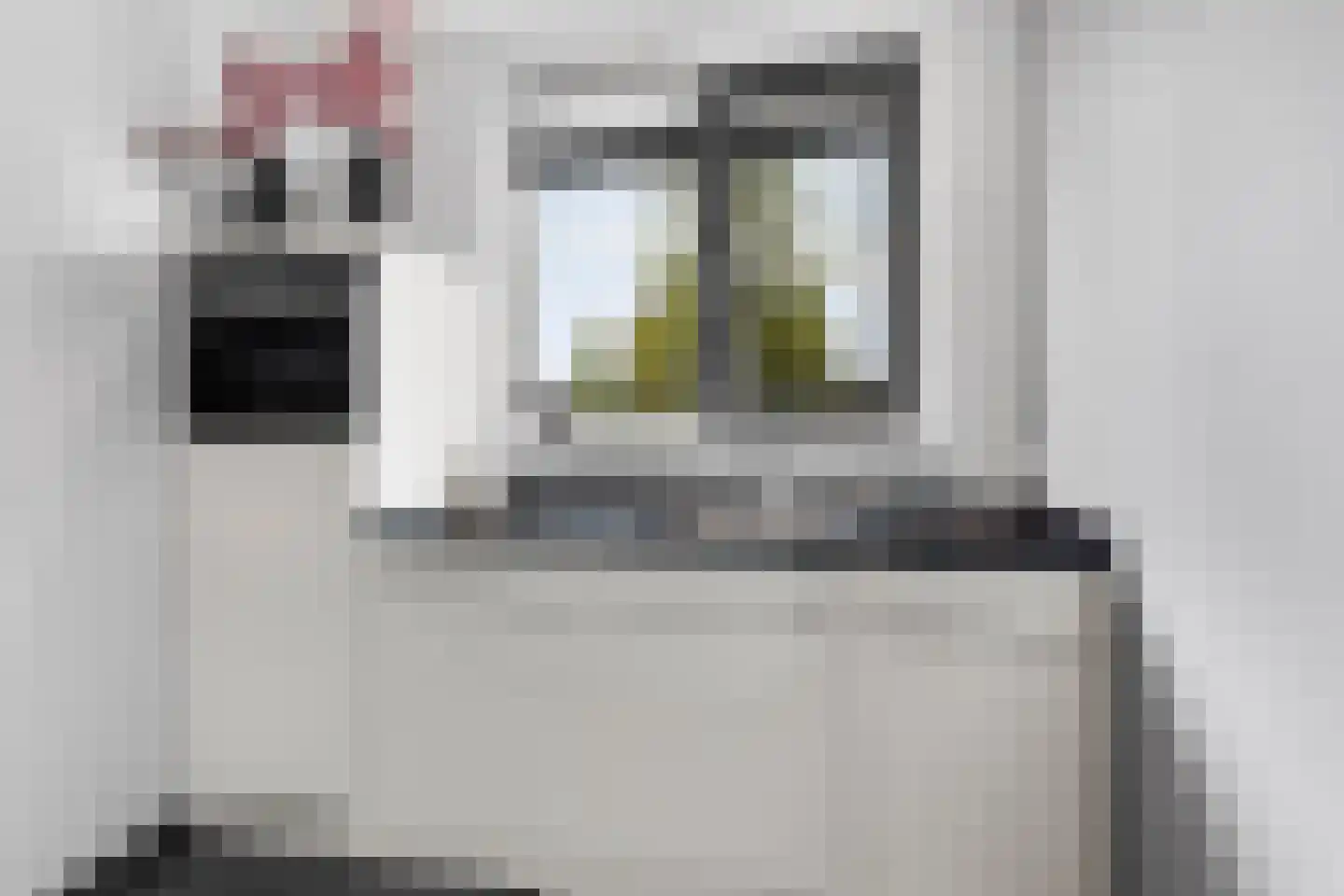 Andalusiëstraat 20 Lent thumbnail 16