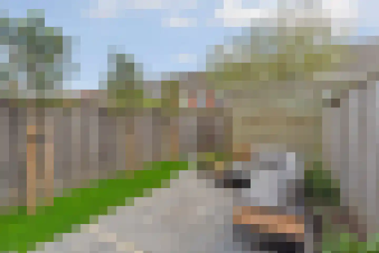 Andalusiëstraat 20 Lent thumbnail 36