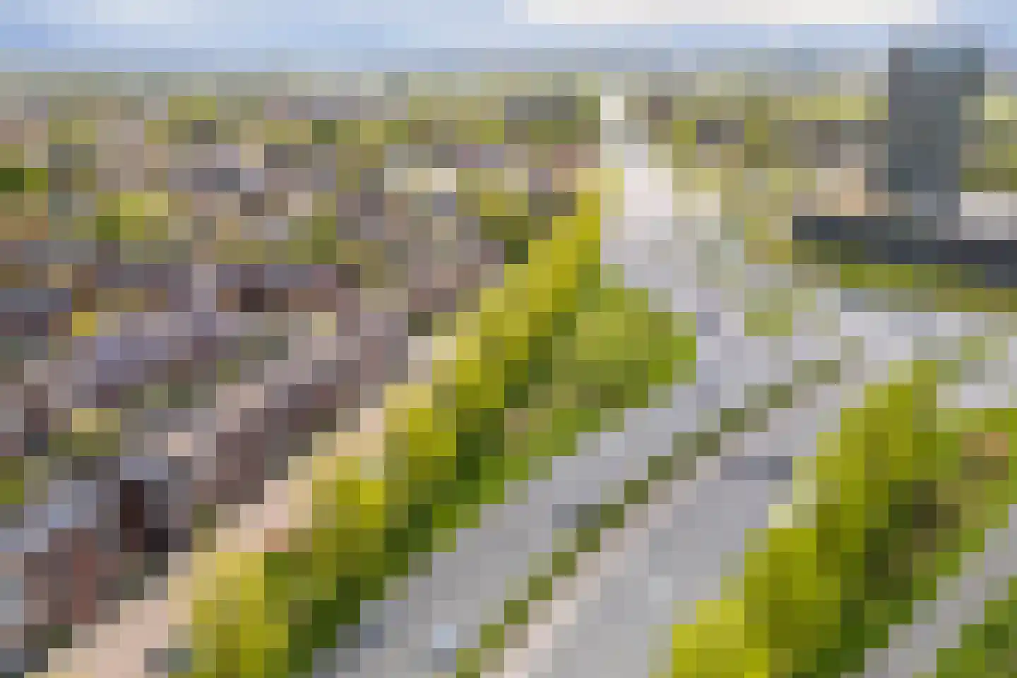 Andalusiëstraat 20 Lent thumbnail 41