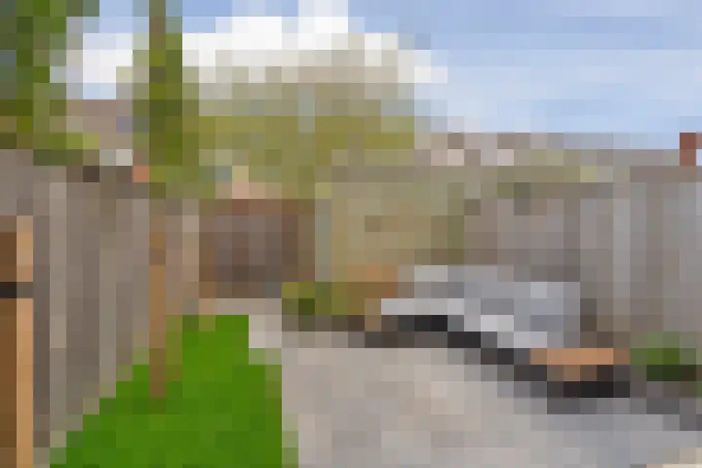 Andalusiëstraat 20 Lent thumbnail 6