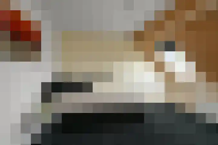 Andalusiëstraat 48 Alkmaar thumbnail 35