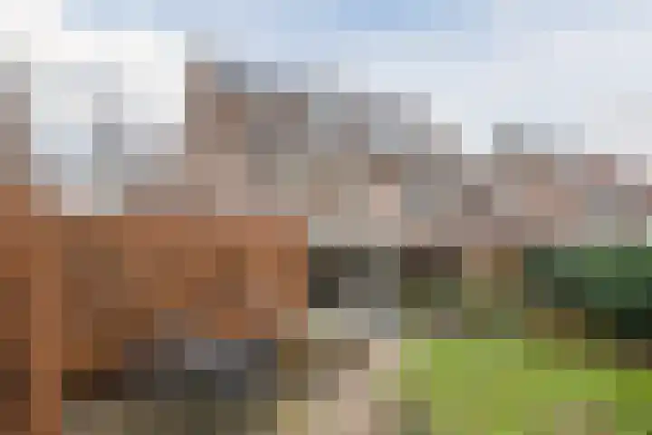 Andalusiëstraat 50 Alkmaar thumbnail 35