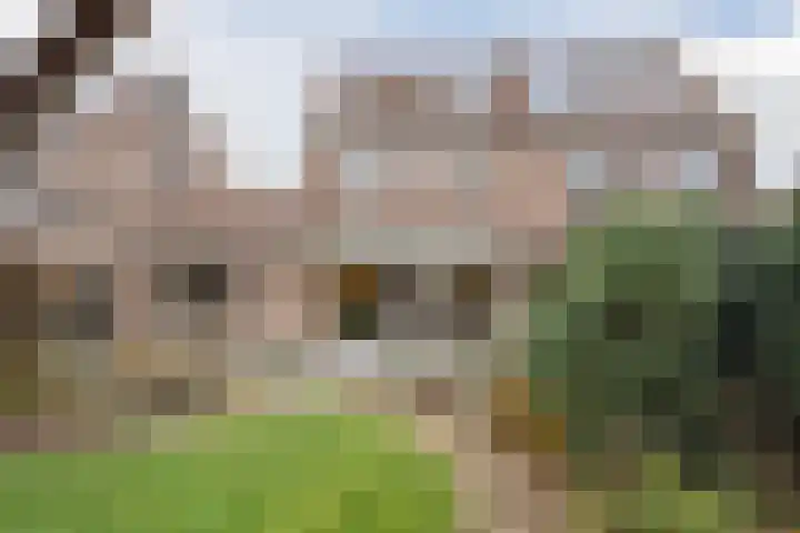 Andalusiëstraat 50 Alkmaar thumbnail 36