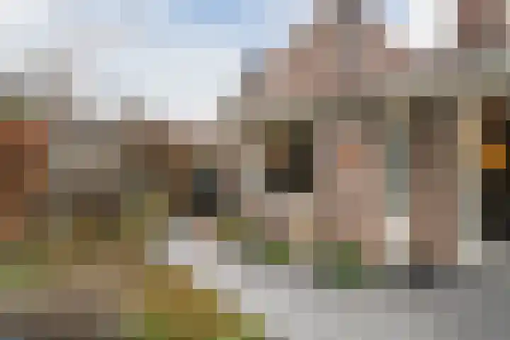 Andalusiëstraat 50 Alkmaar thumbnail 39