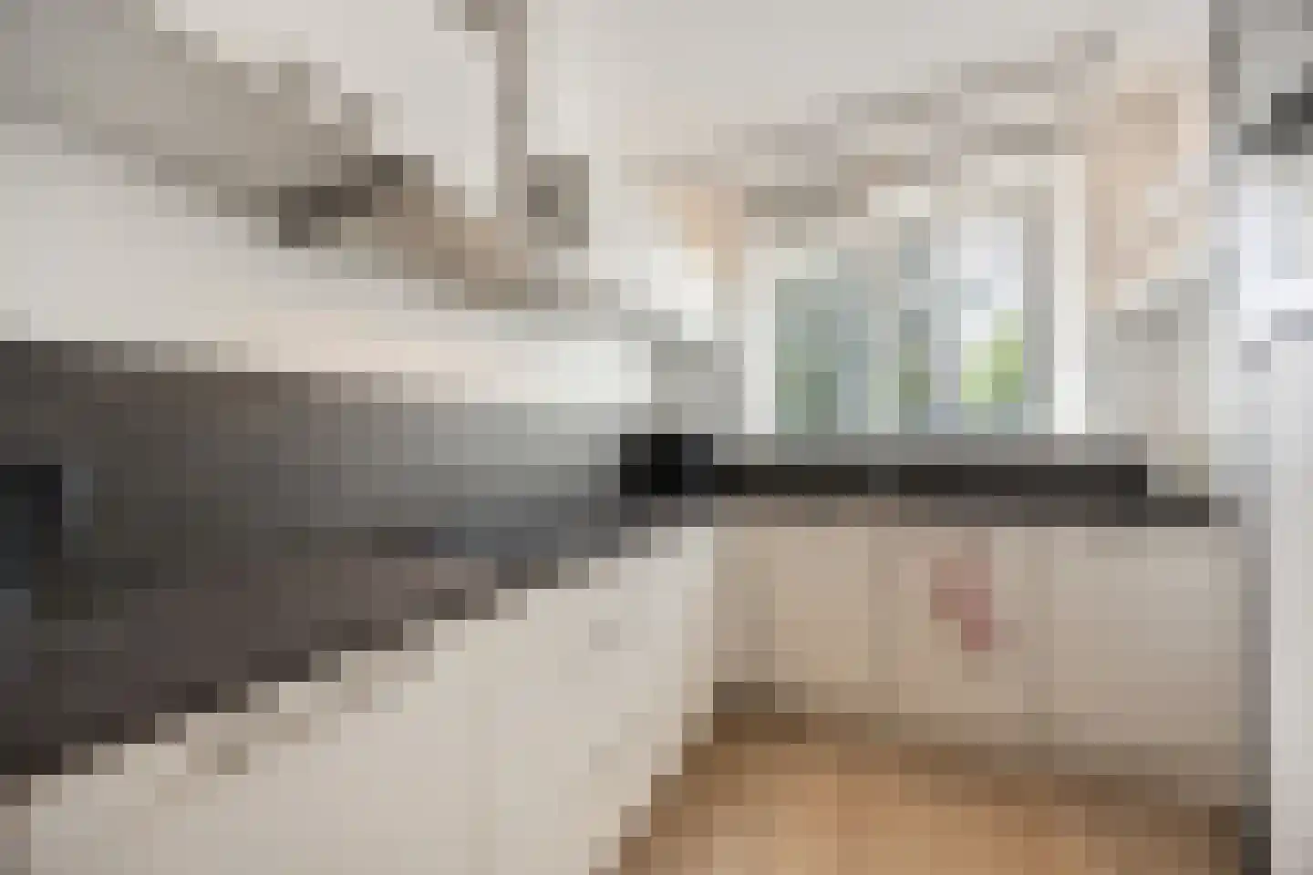 Andalusiëstraat 8 Lent thumbnail 13