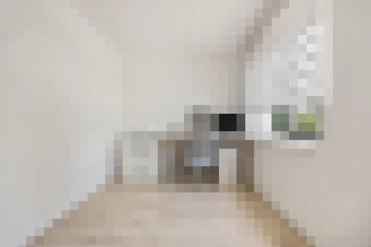 Andalusiëstraat 8 Lent thumbnail 32