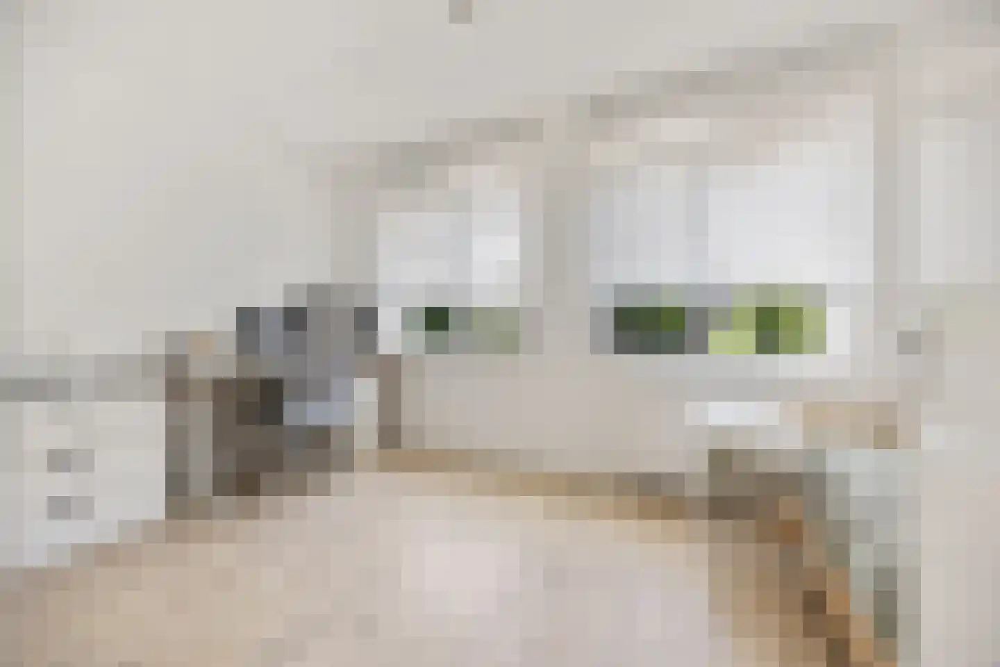 Andalusiëstraat 8 Lent thumbnail 33