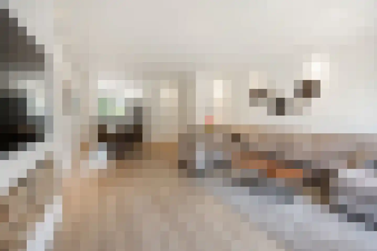 Andalusiëstraat 8 Lent thumbnail 9