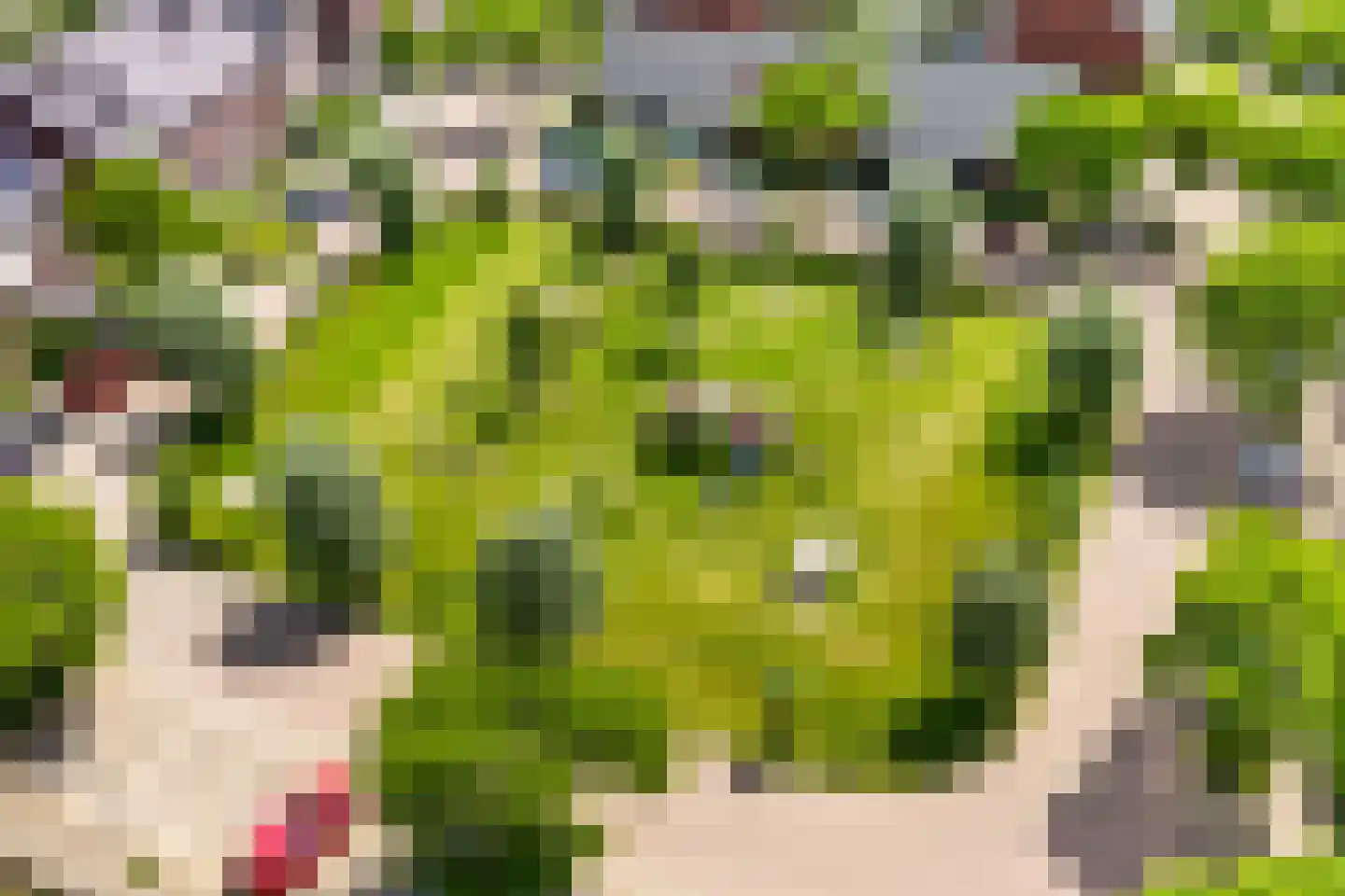Andalusiëstraat 94 Lent thumbnail 37