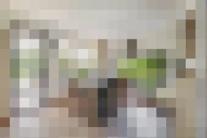 Andante 14 Krimpen aan den IJssel thumbnail 15