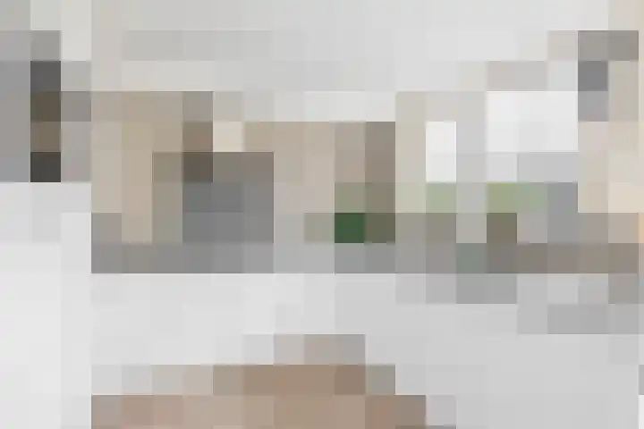 Andante 14 Krimpen aan den IJssel thumbnail 17
