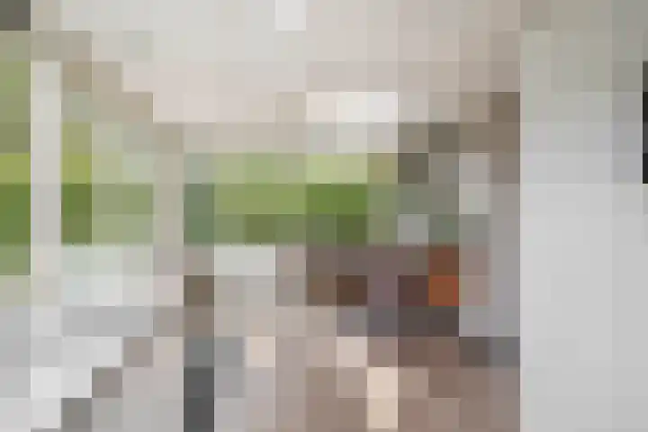 Andante 14 Krimpen aan den IJssel thumbnail 20
