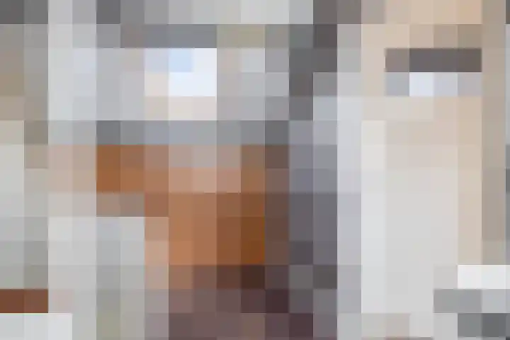 Andante 14 Krimpen aan den IJssel thumbnail 36