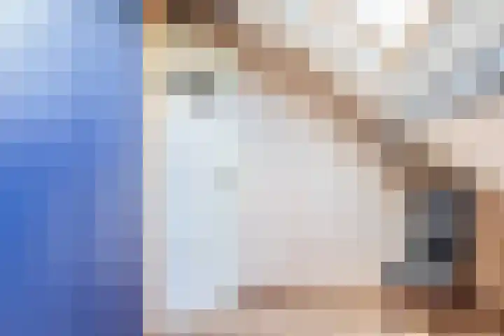 Andante 14 Krimpen aan den IJssel thumbnail 38