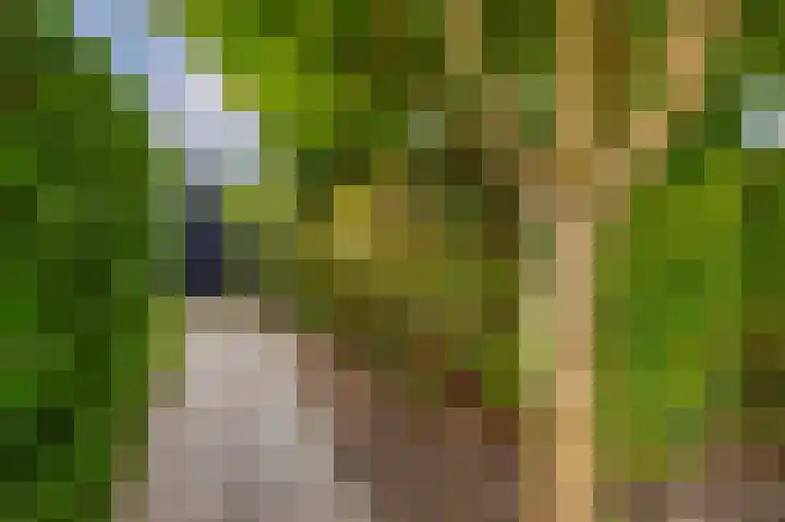 Andante 14 Krimpen aan den IJssel thumbnail 39